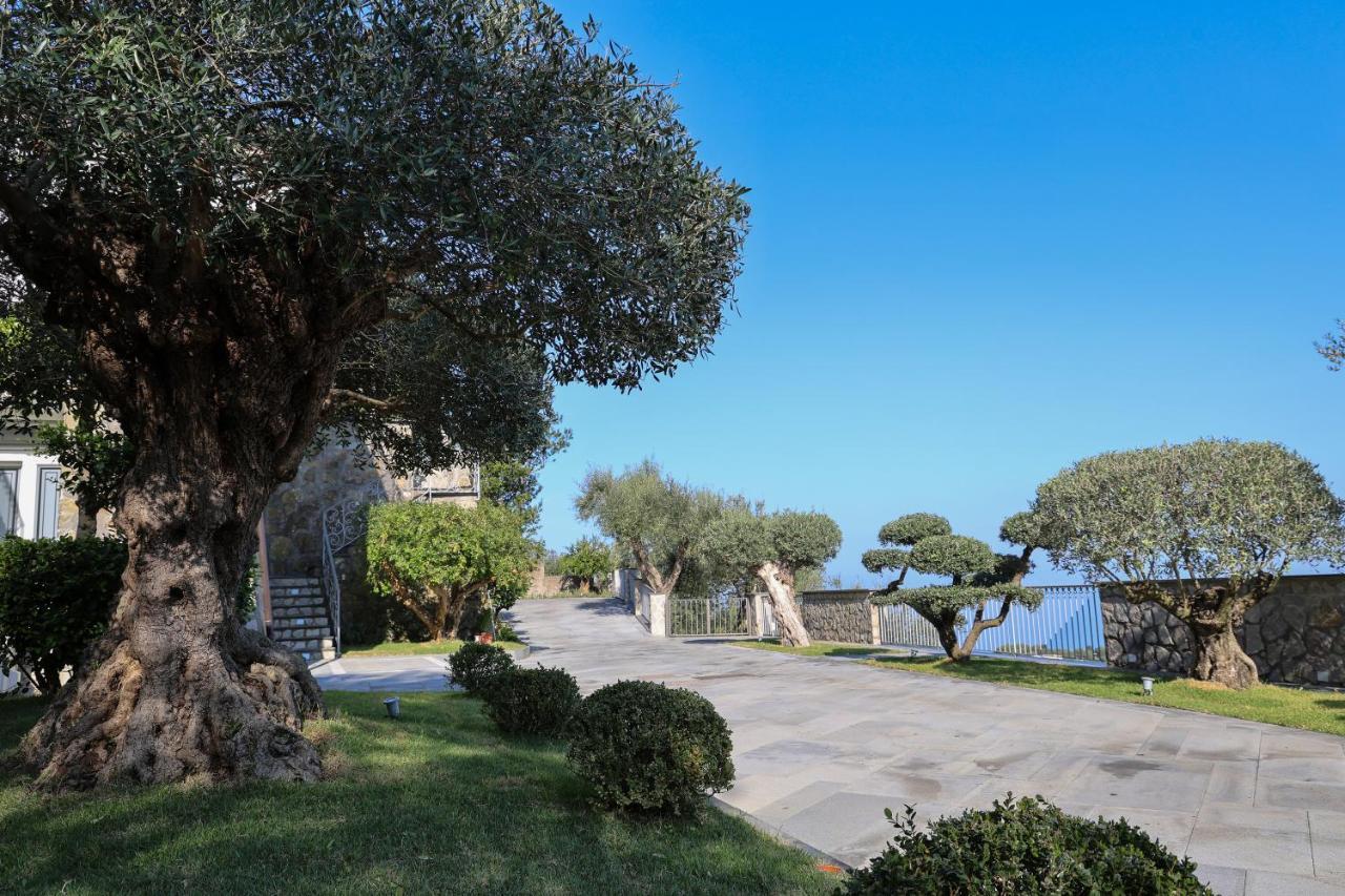 Villa Italia Sorrento Termini Buitenkant foto