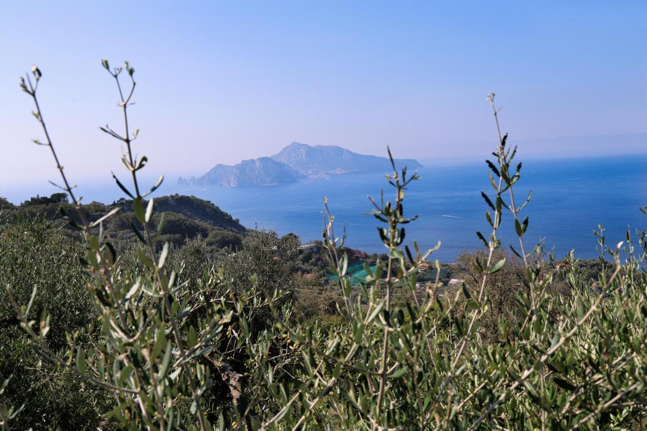 Villa Italia Sorrento Termini Buitenkant foto